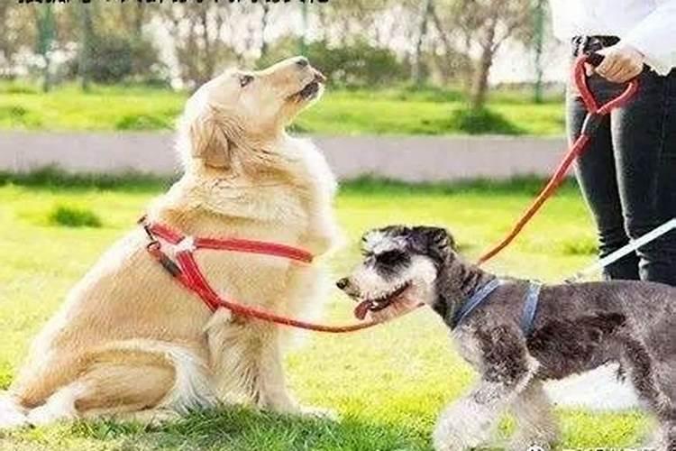 看看我的生辰五行八字属什么,是否适合养鱼,养什么颜色的,多少条百 ...