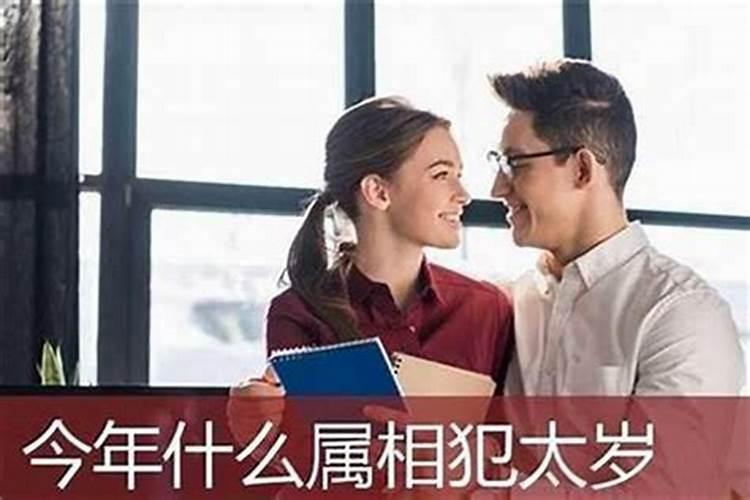 属鸡的遇上什么年运气最好