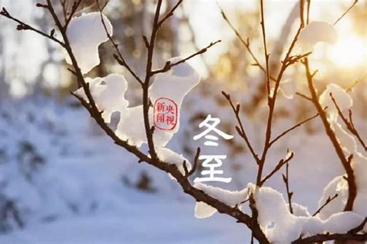 道教中的斋醮科仪有哪些？