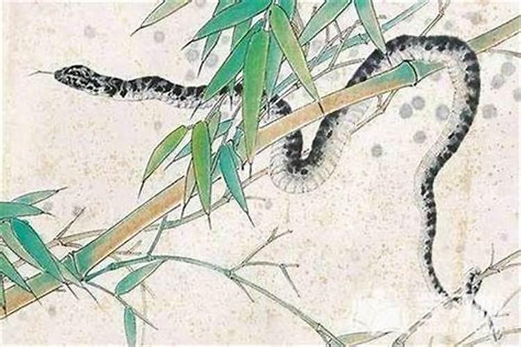 属蛇男宝宝几月几日几时出生最好命