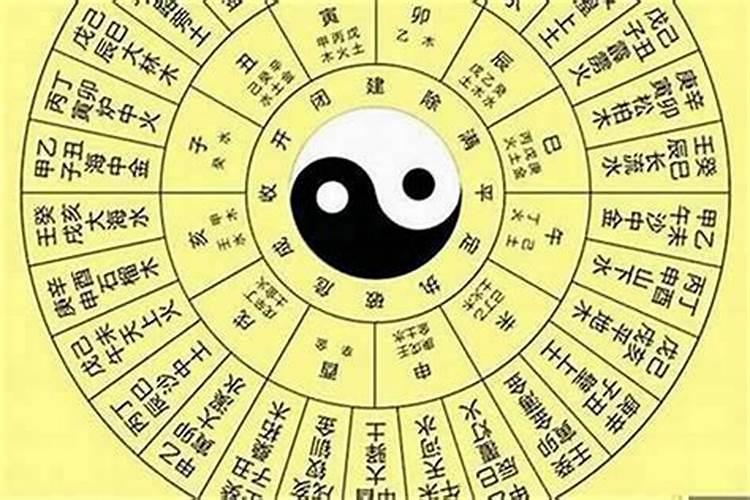 我跟老公属相不合但八字互补,五行相生还能合婚吗？