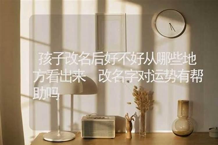 蛇什么时辰出生好