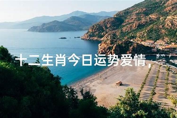 1994年属狗女士[31岁]2025年运势全解析,看看每月的变化