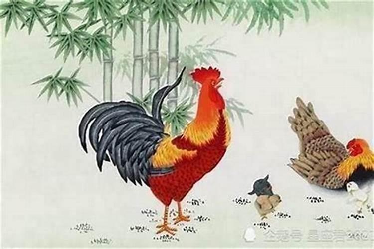 86年属虎女佩戴什么好,86年属虎本命年女应该佩戴什么？