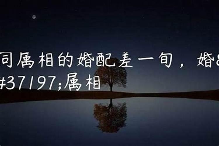同一个属相婚姻好z好,两个属相相同的人结婚能幸福吗？