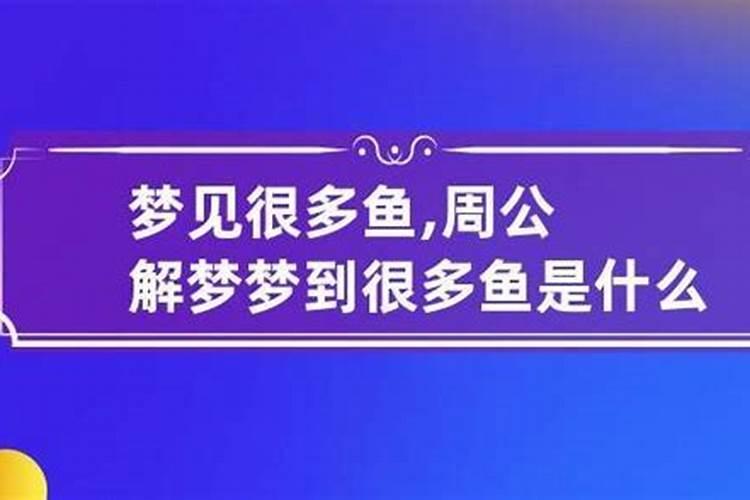 做梦梦到好多鱼是什么意思？