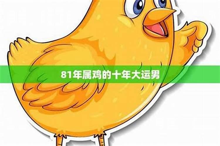 1981属鸡在2025以后十年大运