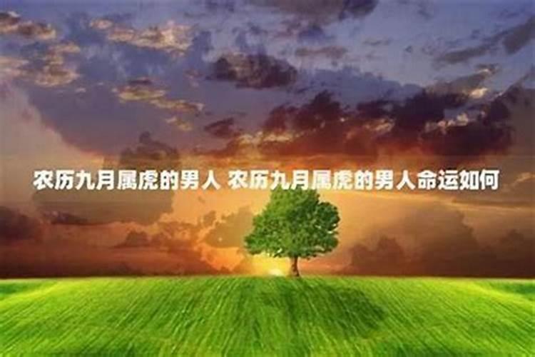 清明扫墓