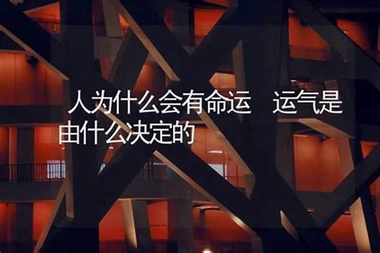 76龙2025每月运势