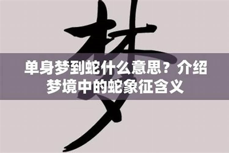 女人梦见青蛇的七大预兆