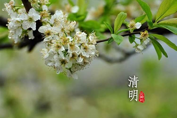 犯太岁需要化解吗