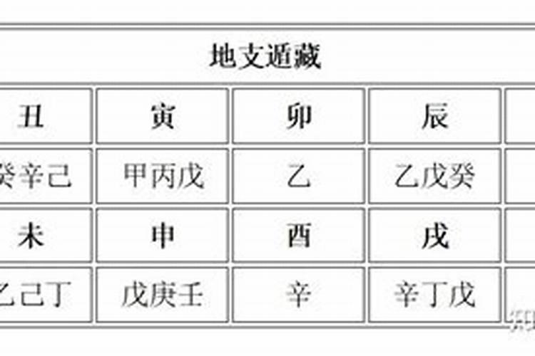 生辰八字地支藏干有什么用,生辰八字天干地支详细算命