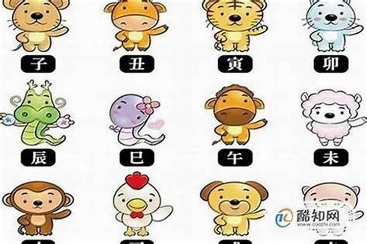 本命年的人财运如何