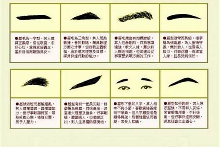 属马人2025年全年运势运程