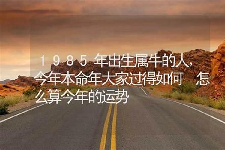 1970年属狗2025年运势及运程