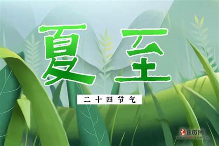 生肖狗何时走好运
