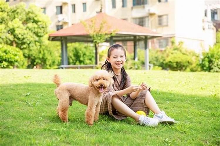梦见妈妈和我一起的预兆