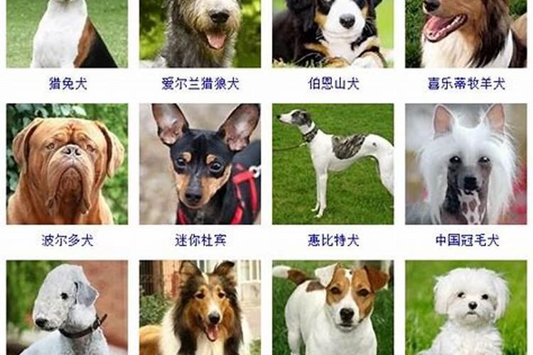 犯太岁一般持续多久