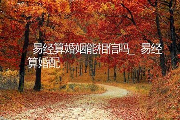 揭秘八字与楼层风水的关系