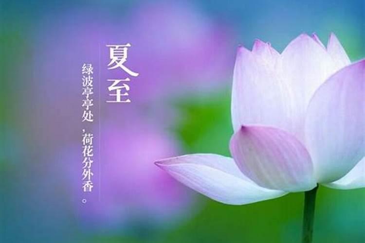 夏至不能做什么