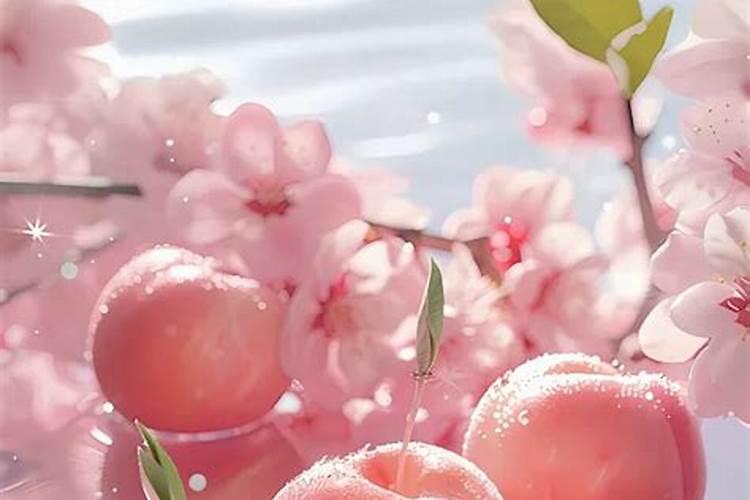 手机壁纸什么图招桃花运