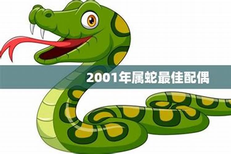 属蛇的最佳上等婚配属相
