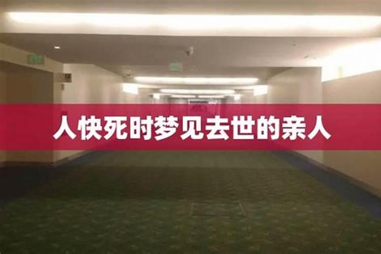 属虎十月份出生的命运好吗,属虎十月出生不好吗