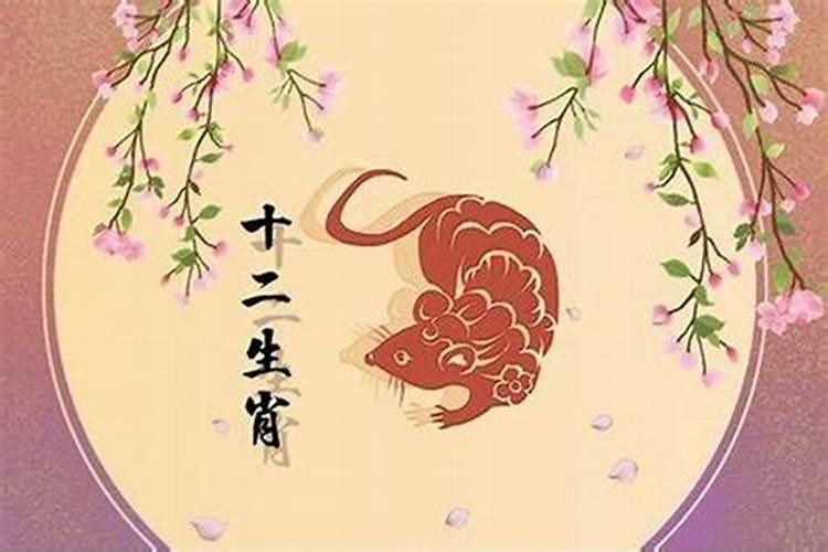 猪年属鼠人的运势如何 运程解析？
