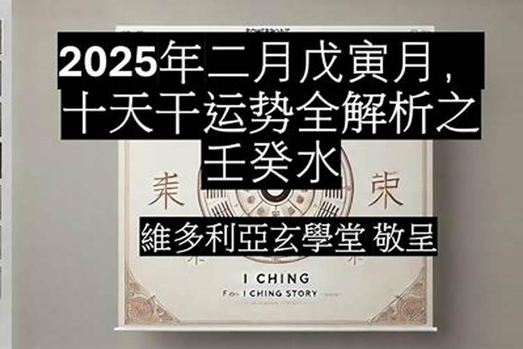 1982年农历腊月23日子时出生2025年的命运