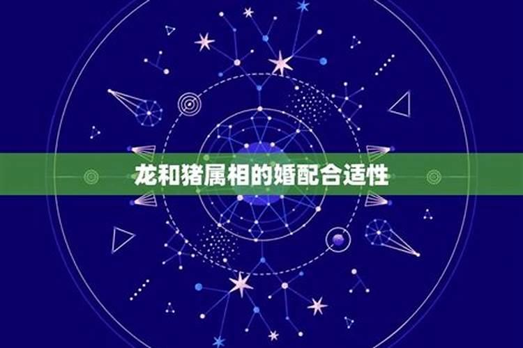 八字合婚几种结果 双方配婚方法详解？