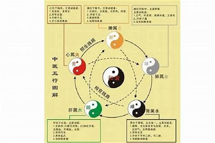 从生日看一个人寿命,生辰八字能算出来一个人寿命