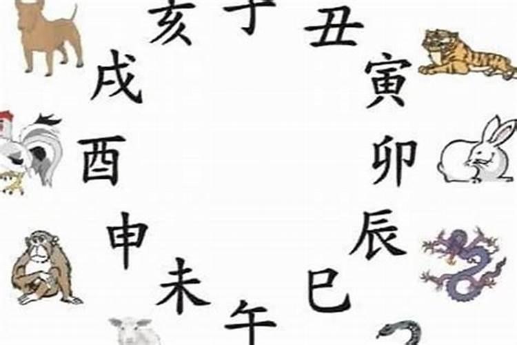 十二属相啥命一览表