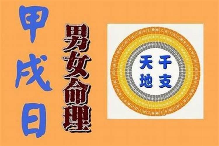 男,1988年正月二十午时出生,戊辰乙卯辛酉甲午,这个八字财运怎么样？