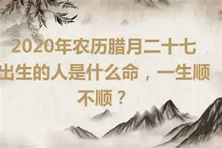 农历65年腊月二十九子时生,属相是蛇还是马
