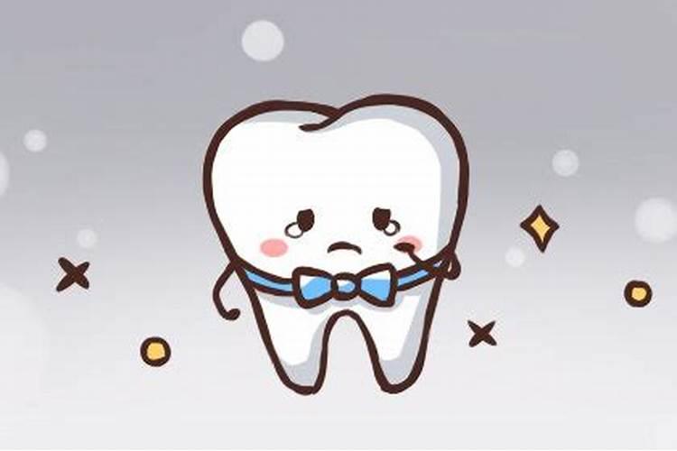 属狗的5月24号的运势如何呢女生