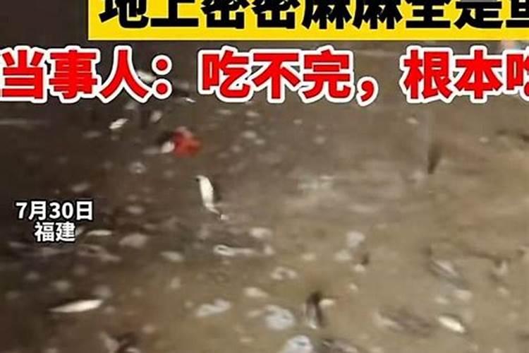 属猴2025年犯太岁吗