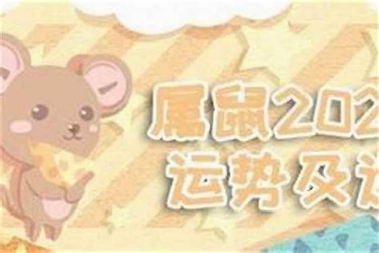 2025年十二生肖每月运势详解