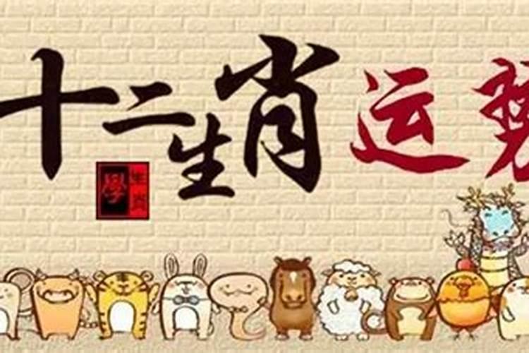 都说属羊的女孩不好,并且是冬天的。。,我是91年腊月二十五出生的,请各 ...