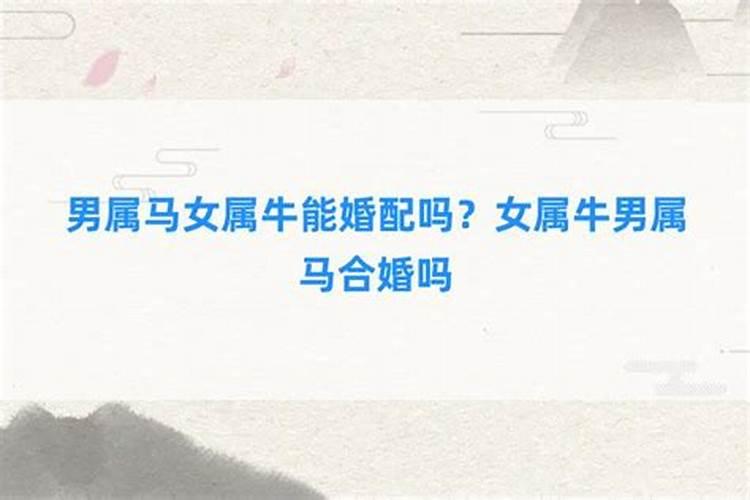 我是属狗农历1982年3月31生,我今年和明年运势如何？？？