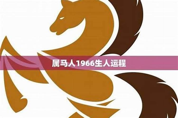 属虎2025年犯太岁吗