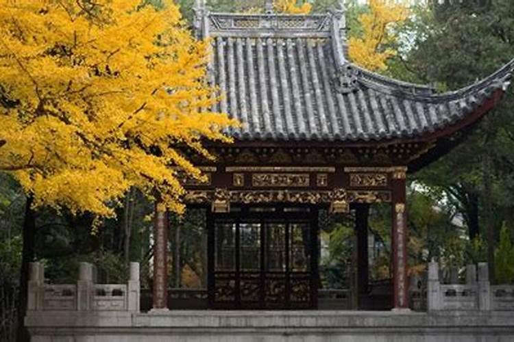 那些拥有好姻缘的女命是什么样子的？
