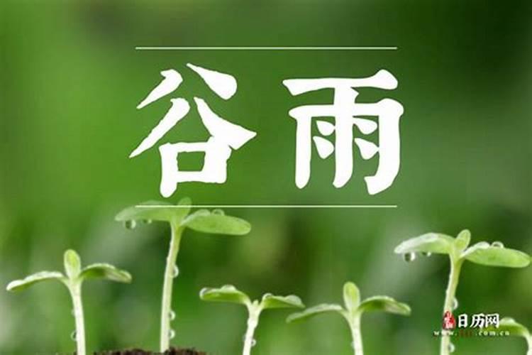 谷雨节气养生注意事项 谷雨节气养生要诀