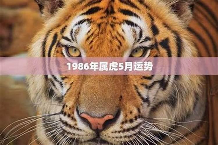 正月初二吃的午餐叫什么饭