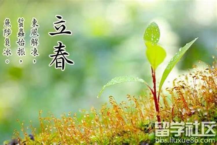 1966属马未来十年运势？