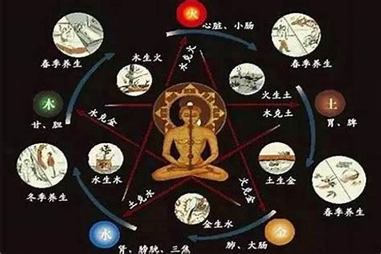 铜龙龟的风水摆放位置知识介绍