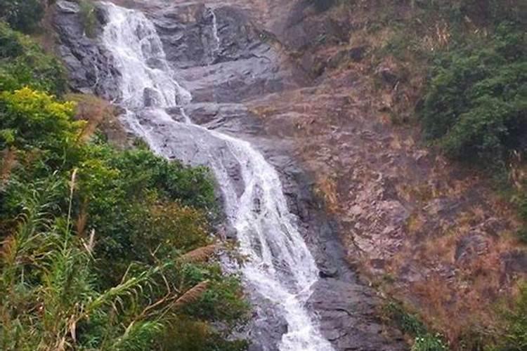 深圳周边哪里有龙舟赛,龙岗湖附近景区推荐
