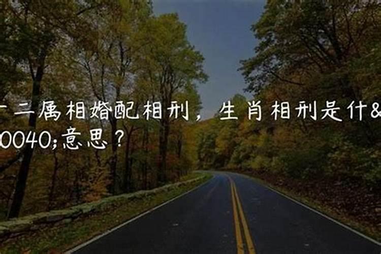 人的命运是天注定吗人能逆天改命吗