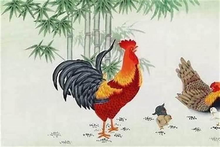 2025属鼠人躲不过去的大难