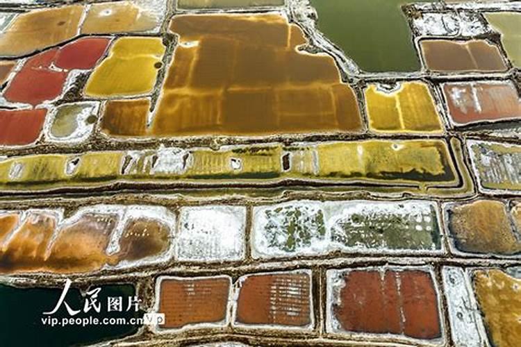 《九月九日忆山东兄弟》和《邯郸冬至夜思家》的写作手法上有什么相同的...