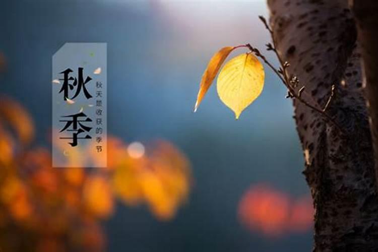 八八年八月十五的人命格怎样？